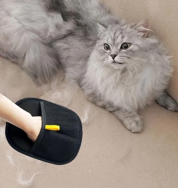 PawClean™ – Smooth cleaning for pet lovers.